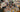 Used Vinyl (Oshkosh) - 460+!!!!!!! Fresh used vinyl (5/24/24)
