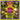 Kool Keith And MC Homeless - Mushrooms and Acid LP (RSD 2024)