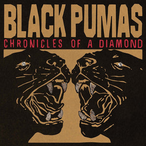 Black Pumas - Chronicles Of A Diamond LP (Cloudy Red Vinyl)