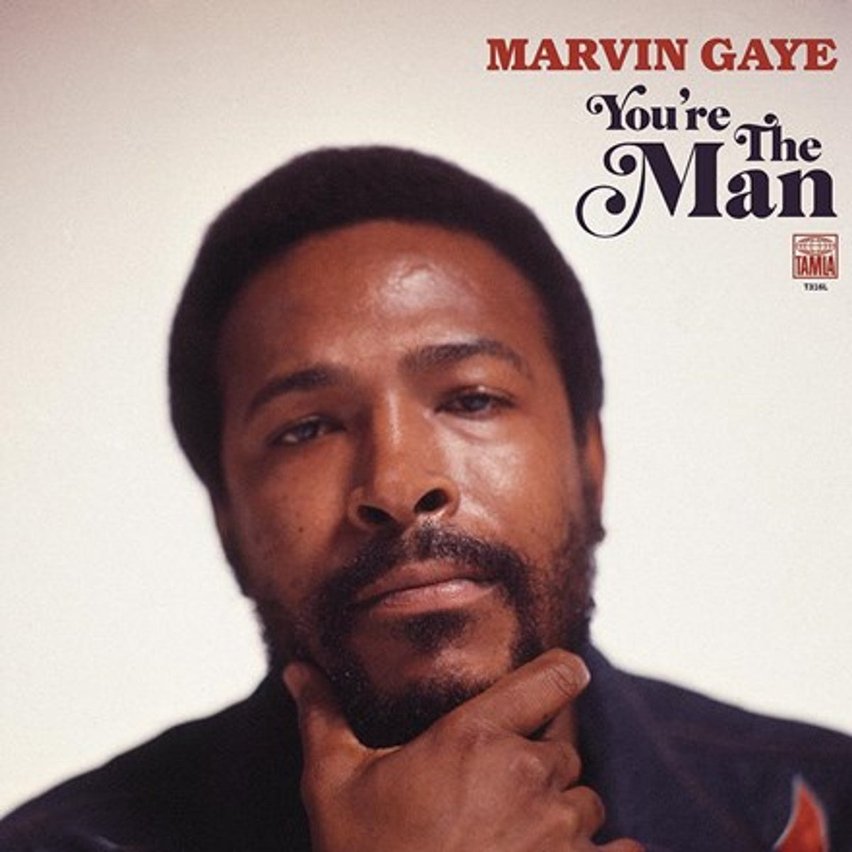 Marvin Gaye - You're The Man 2LP – Eroding Winds