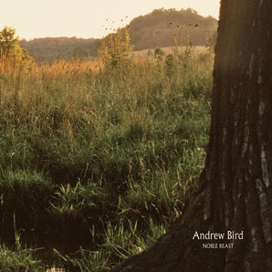 Andrew Bird - Noble Beast LP
