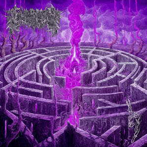 Civerous - Maze Envy LP (Purple & Magenta Vinyl)