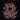 Corpus Offal - Corpus Offal LP (MARKDOWN)