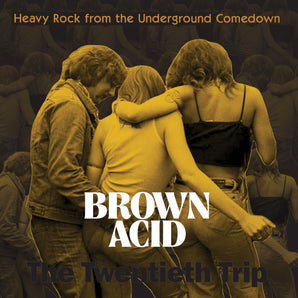 Various Artists - Brown Acid: The Twentieth Trip LP (Orange & Red Vinyl)