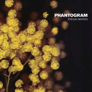 Phantogram - Eyelid Movies LP (Clear/Yellow vinyl)