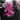 Every Time I Die - Ex-Lives LP