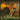 Oromet - The Sinking Isle CD