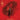 Spirit Possession - Cathedral Speech CD