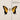 Paramore - Brand New Eyes LP
