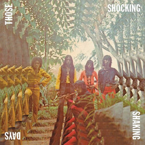 Various Artists - Those Shocking Shaking Days LP
