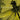 Coheed & Cambria - Second Stage Turbine Blade: 20th Anniversary LP (Transparent Black Vinyl)