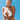 Aphex Twin - Windowlicker CD