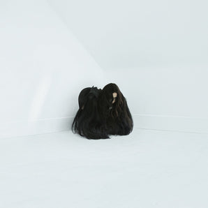 Chelsea Wolfe - Hiss Spun 2LP