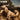 Interpol - Our Love To Admire CD