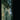 Dead Can Dance - Within The Realm Of A Dying Sun LP
