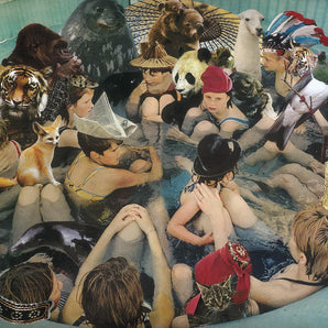 Panda Bear - Person Pitch LP