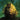 Ty Segall - Three Bells 2LP