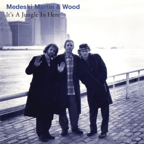 Medeski, Martin & Wood - It's A Jungle In Here LP