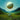 Tycho - Infinite Health CD