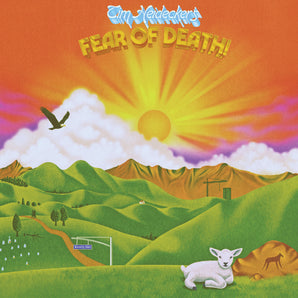 Tim Heidecker - Fear Of Death LP (Golden Sunset Vinyl)
