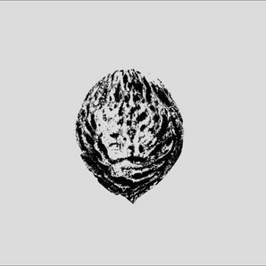 Black Lips - Bebop Armageddon: Detours & Offcuts From Season Of The Peach LP (INDIE EXCLUSIVE)