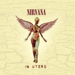Nirvana - In Utero: 20th Anniversary CD (2013 Remaster)