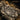 Steve Roach - Bloom Ascension LP