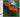 Casiopea - Casiopea CD (Japan Import)