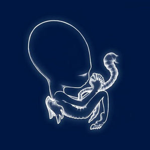 Sigur Ros - Agaetis Byrjun LP