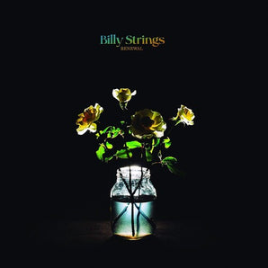 Billy Strings - Renewal CD