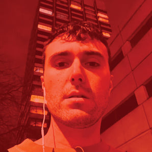 Fred Again - Actual Life LP