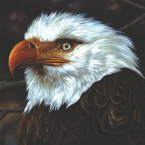 Mogwai - The Hawk Is Howling 2LP (White Vinyl)