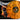 Dismember -  Hate Campaign (Transparent Orange W/ Black Splatter vinyl)