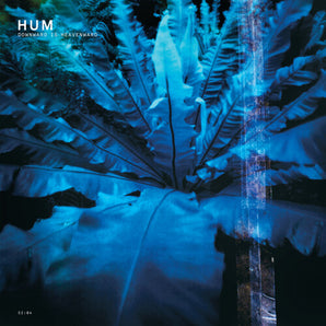 Hum - Downward Is Heavenward 2LP