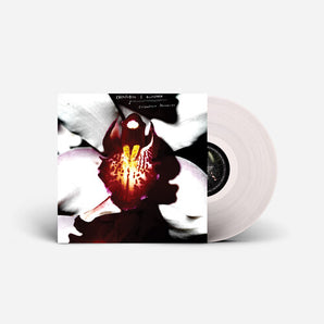 Chrystabell & David Lynch - Cellophane Memories LP (Clear Vinyl)