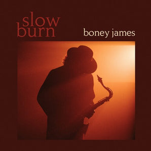 Boney James - Slow Burn LP