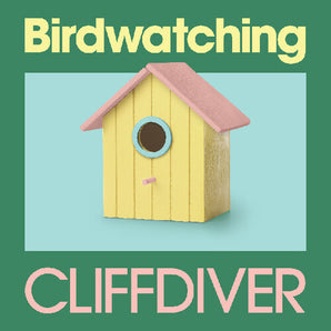 Cliffdiver - Birdwatching LP (Sky Blue Vinyl)