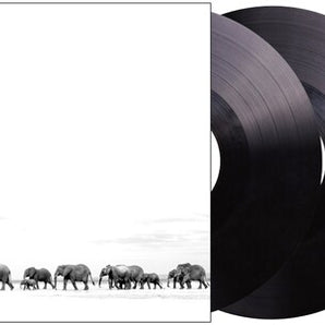 Dave Matthews - Where Are You Going: The Singles 2LP