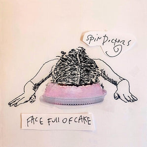 Spin Doctors - Face Full Of Cake CD