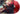 Fallujah - Xenotaph LP (Red & Black Swirl Vinyl)