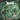 Imperishable - Swallowing The World CD