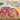 Pepper - Pink Crustaceans & Good Vibrations LP (Pink Vinyl)