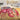 Pepper - Pink Crustaceans & Good Vibrations LP (Pink Vinyl)