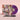 The Bug Club - Very Human Features LP (Purple Vinyl) (MARKDOWN)