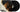 The Weeknd - Hurry Up Tomorrow: The Complete Edition 2LP