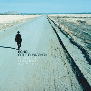 Echo & The Bunnymen - What Are You Going To Do With Your Life?: 25th Anniversary LP (Turquoise Blue Vinyl)