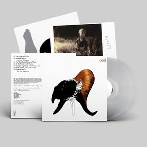 Coil - Black Antlers LP (Clear Vinyl)