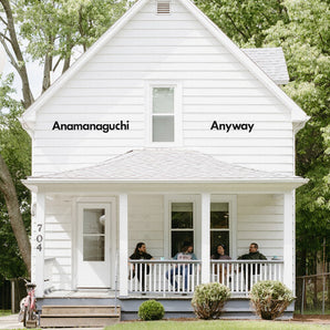 Anamanaguchi - Anyway LP (black in red vinyl)
