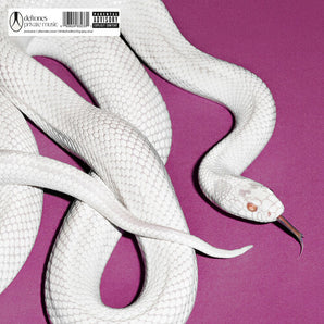 Deftones - Private Music LP (Alt Cover, Fog Gray Vinyl)
