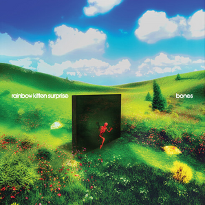 Rainbow Kitten Surprise - Bones Banana CD